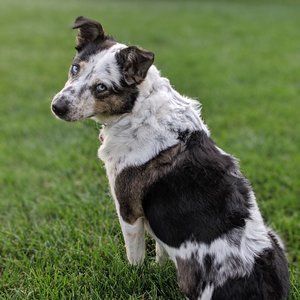 Meet your Posher, Sa'dia